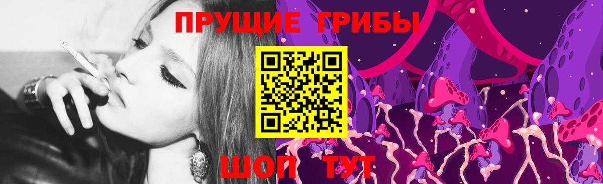 Елец  Псилоцибиновые грибы прущие грибы  Псилоцибиновые грибы Psilocybe  Вход с VPN 